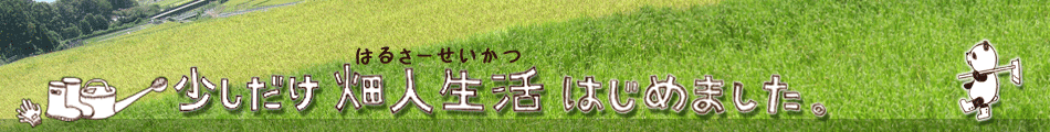 畑人生活 - 貸し農園で畑始めました。