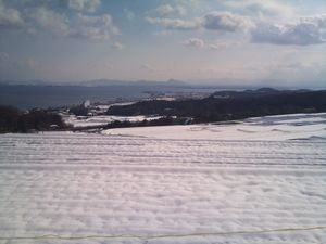 雪景色