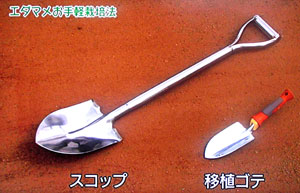 NHK 野菜の時間 枝豆栽培方法