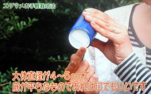 NHK 野菜の時間 枝豆栽培方法