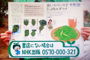 NHK 野菜の時間 枝豆栽培方法