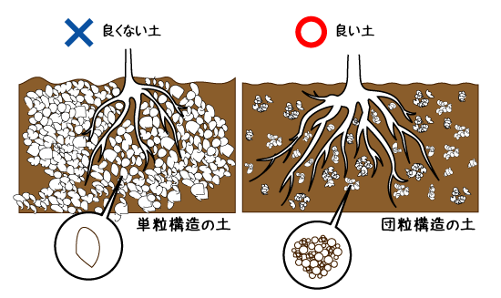 団粒構造の土と単粒構造の土